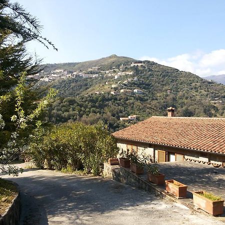 Agriturismo La Mancosa 폴리카 외부 사진